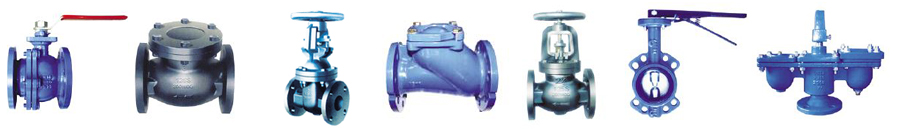 Cast and Ductile Iron Valves