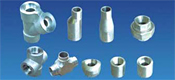 Stainless Steel Fittings and Flanges